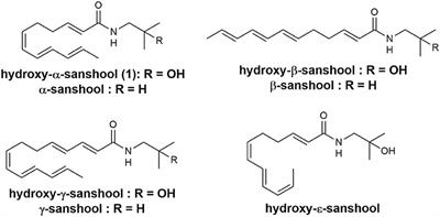 An Improved and Practical Method for Synthesizing of α-Sanshools and Spilanthol